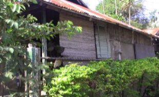 0311649 pic001