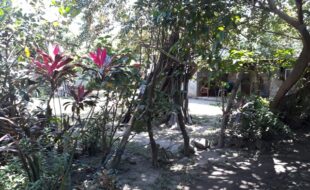 Foreclosed Properties Philippines Database 8 0314005 pic001