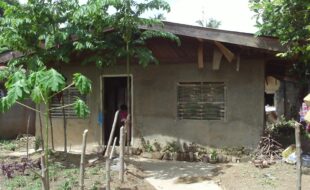 0314986 pic001