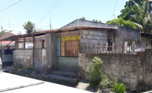 Foreclosed Properties Philippines Database 15 0315573 pic001
