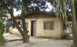 0322383 pic001
