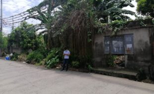 Foreclosed Properties Philippines Database 21 0329212 pic001