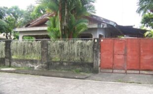 0341712 pic001