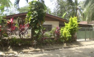 0350309 pic001