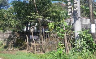 Foreclosed Properties Philippines Database 21 0362114 pic001