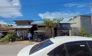 0415126 pic001