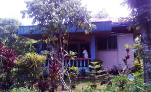 0421331 pic001