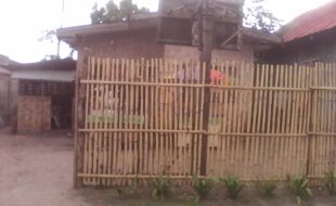 Foreclosed Properties Philippines Database 23 kr