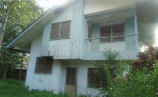 0443491 pic001