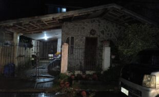 0533878 pic001