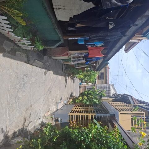 0534884 pic002 rotated