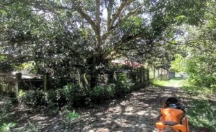 Foreclosed Properties Philippines Database 29 0539819 pic001