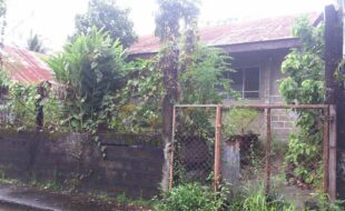 0547255 pic001