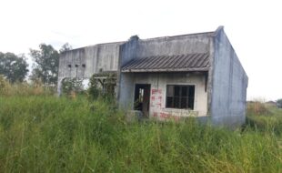 0570959 pic001