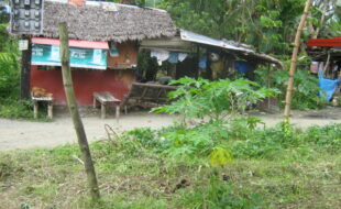 0604729 pic001