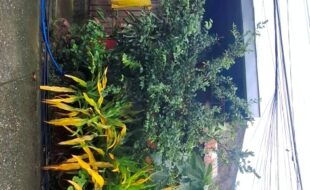 Foreclosed Properties Philippines Database 24 0618643 pic001