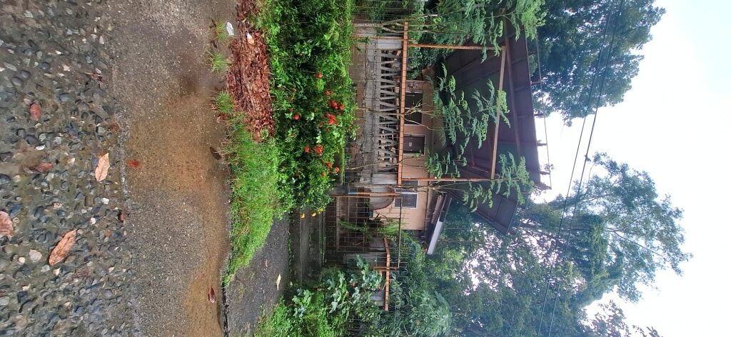 0618833 pic001 rotated