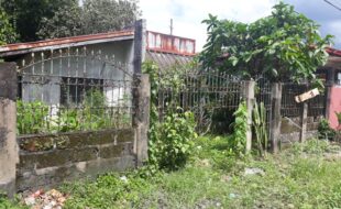 Foreclosed Properties Philippines Database 17 0619359 pic001