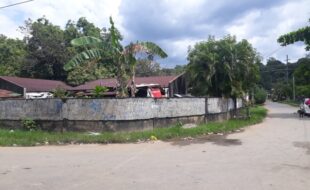 0619413 pic001