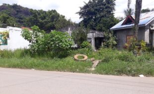 Foreclosed Properties Philippines Database 14 0621163 pic001