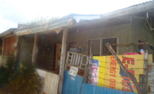 0658097 pic001