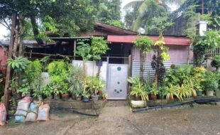 Foreclosed Properties Philippines Database 6 0668048 pic001