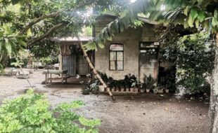 0702186 pic001