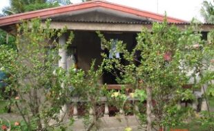 0792411 pic001