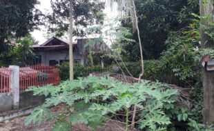 Foreclosed Properties Philippines Database 25 0793435 pic001
