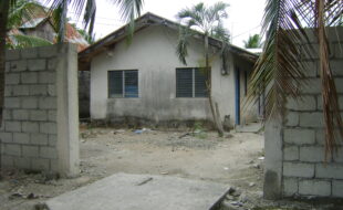 0794513 pic001