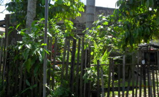 Foreclosed Properties Philippines Database 2 0800705 pic001