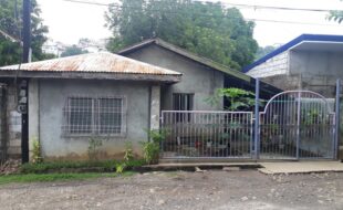 0828741 pic001