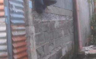 Foreclosed Properties Philippines Database 11 0885906 pic001