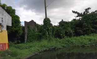 1028877 pic001