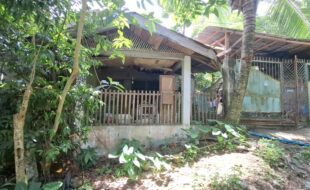 Foreclosed Properties Philippines Database 26 1035171 pic001