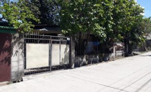 1052337 pic001