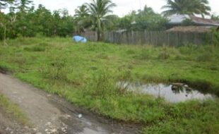 Foreclosed Properties Philippines Database 10 1069961 pic001