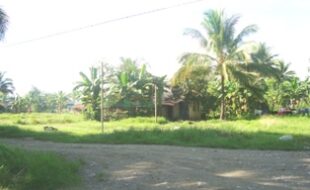 1069979 pic001