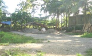 1070018 pic001