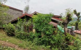 1074393 pic001