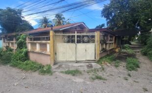 1111744 pic001