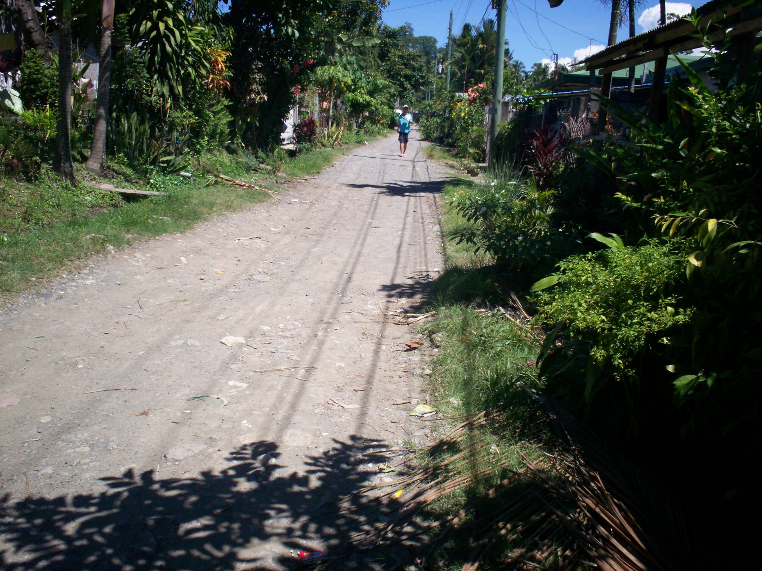 1123424 pic002 scaled