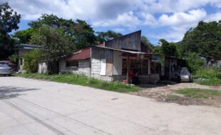 1139118 pic001