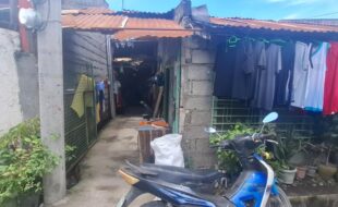 1149179 pic001