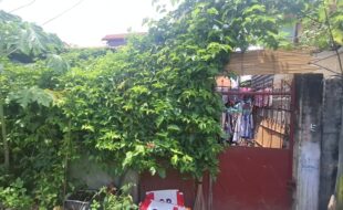 1153046 pic001
