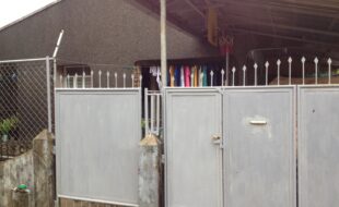 1155875 pic001