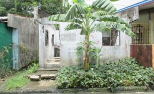 Foreclosed Properties Philippines Database 4 1176696 pic001