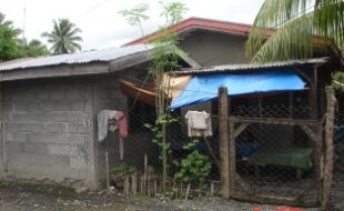Foreclosed Properties Philippines Database 17 1186242 pic001
