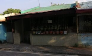 1191309 pic001