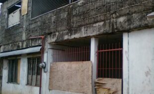 1203559 pic001